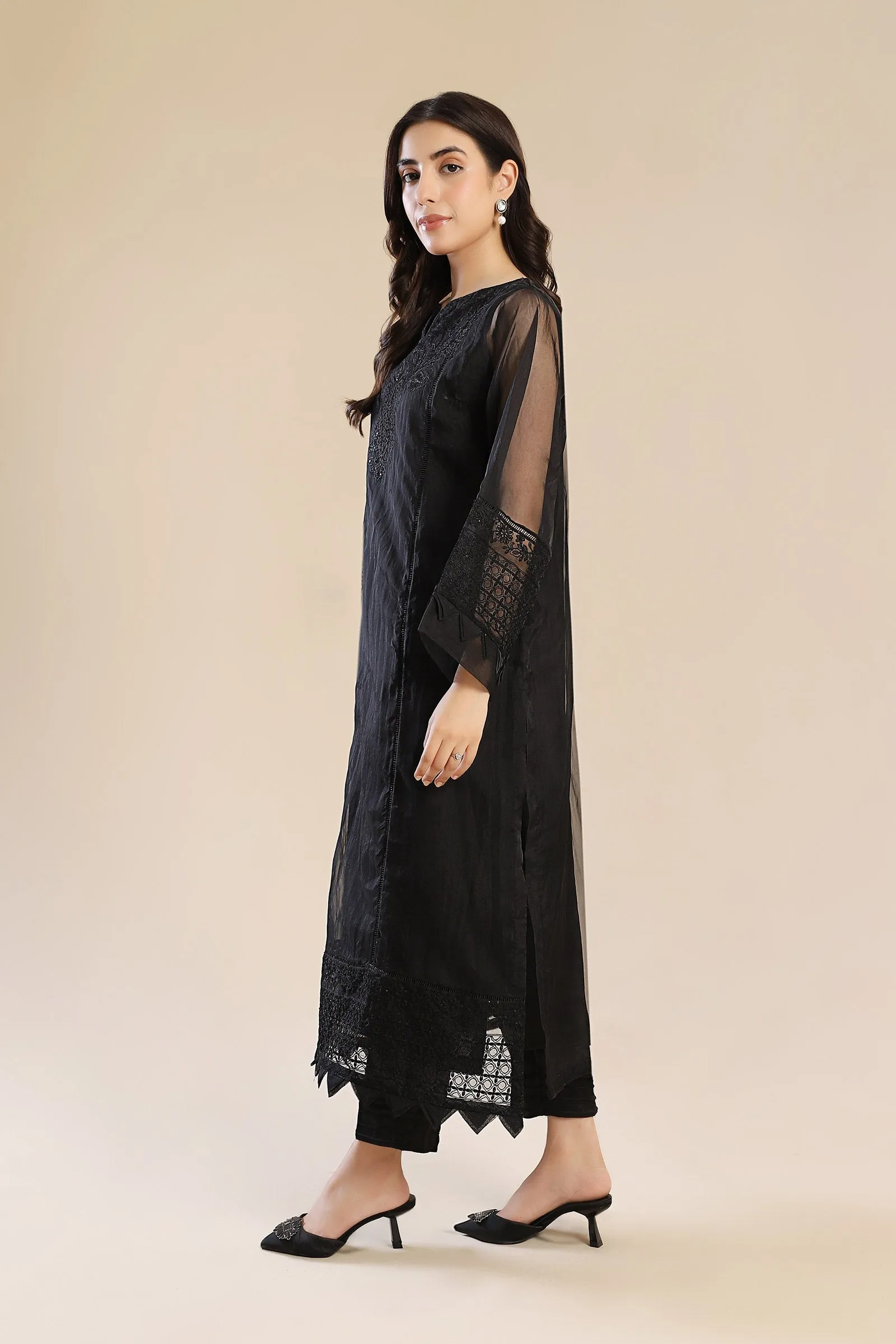 3 Piece Embroidered Organza Suit | MB-F24-604