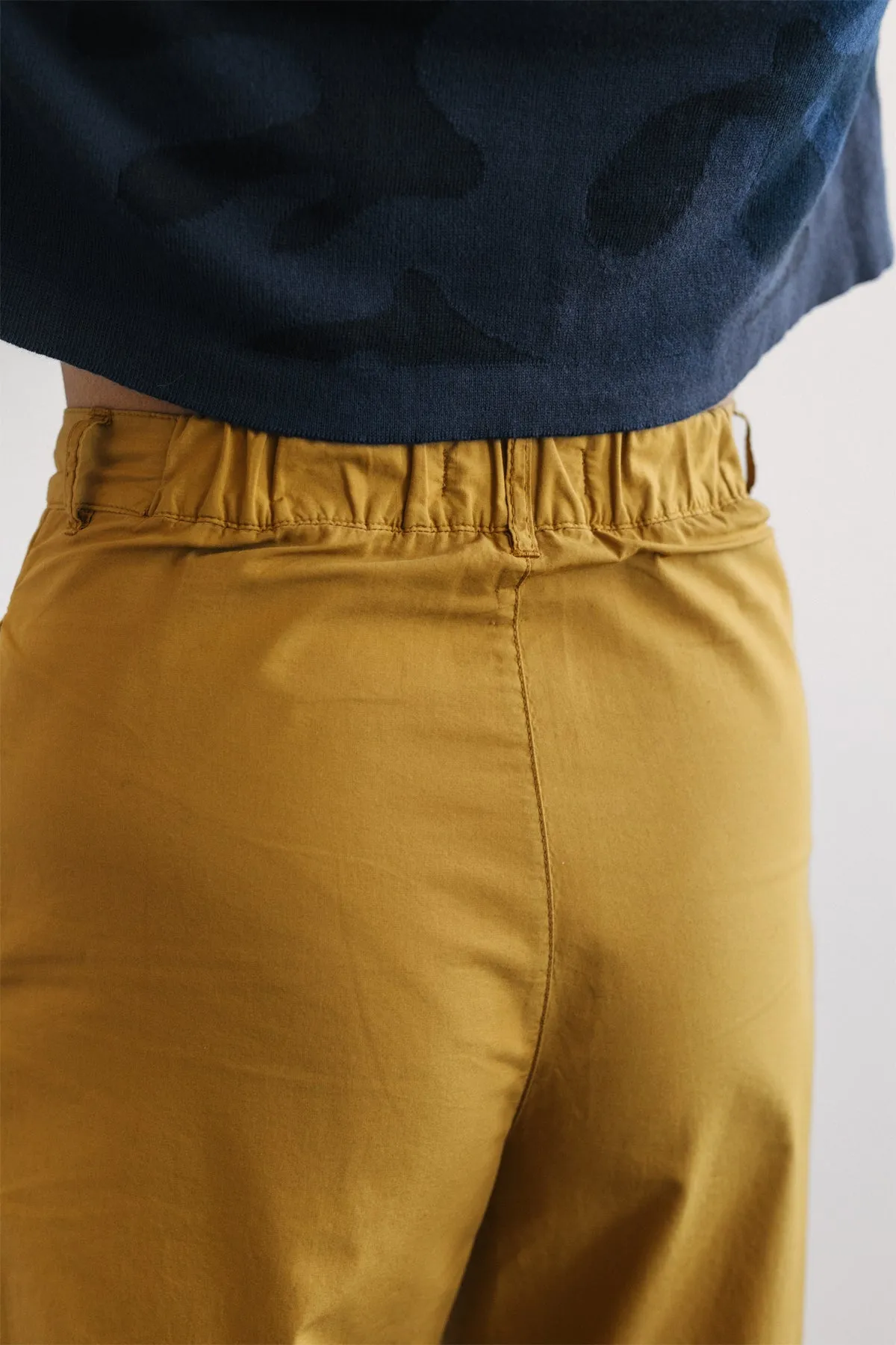 Chiens Trousers Mustard