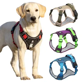 Waterproof Reflective Dog Harness - Safe & Durable Design